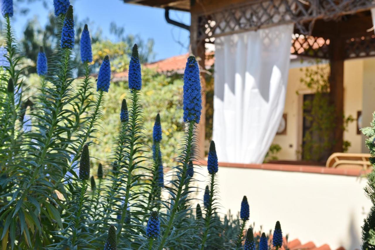Villa Tina Санта Мария ди Кастелабате Екстериор снимка